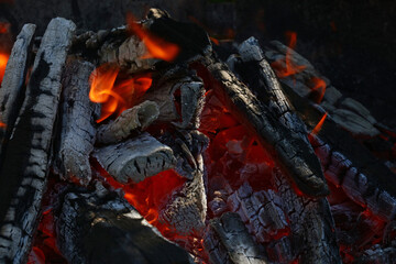 Blaze of bonfire wood fire flame spires in fireplace