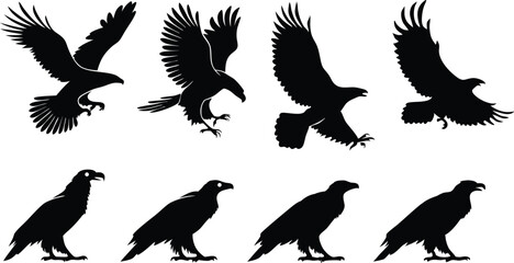 Eagle silhouette vector art set in different styles, using black color illustration design