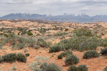 The desert terrain of Arches National Park, Utah, USA