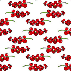 Seamless pattern with stylish red currant on white background.eps