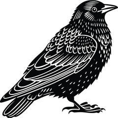 Obraz premium Martin vector silhouette, isolated white background