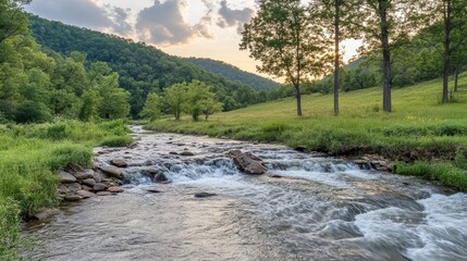Fototapeta premium A serene river flows through a lush green landscape under a cloudy sky at sunset.