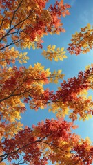 Branch with many colorful autumn leaves against a blue sky background , foliage, vibrant shades