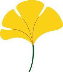 vector of ginkgo-leaf.