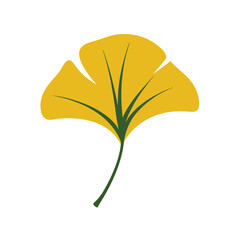 leaf isolated on white