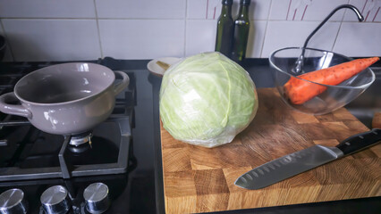 Cabbage and carrot dish at home in the kitchen. Step-by-step instructions