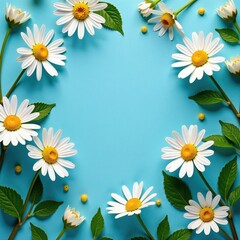 Fototapeta premium Blue background with pale chamomile flowers and green foliage, botanical, garden