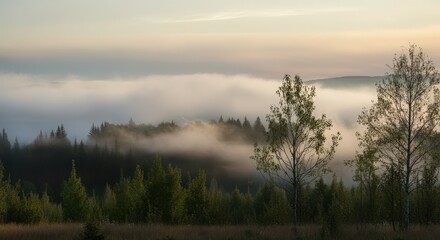 Fototapeta premium Fog in nature, cities and villages with misty forest landscape