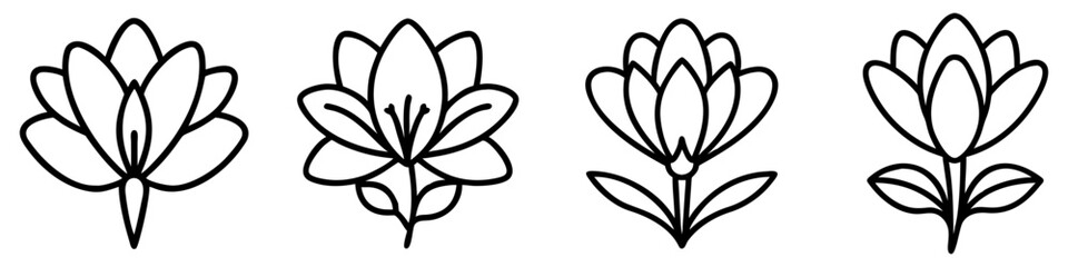 Obraz premium crocus icon, flower line art, flower icon - Minimalistic black outline illustration of crocus flower, perfect for icons, logos, and floral-themed designs.