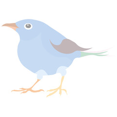 Colorful bird icon