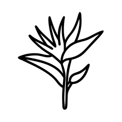 bird of paradise icon, flower line art, flower icon - Minimalistic black outline illustration of bird of paradise flower, perfect for icons, logos, and floral-themed designs.

