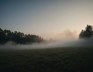 Fog in nature, cities and villages with misty forest landscape
