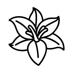 daylily icon, flower line art, flower icon - Minimalistic black outline illustration of daylily flower, perfect for icons, logos, and floral-themed designs.

