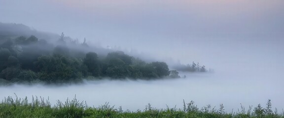 Fototapeta premium Fog in nature, cities and villages with misty forest landscape 