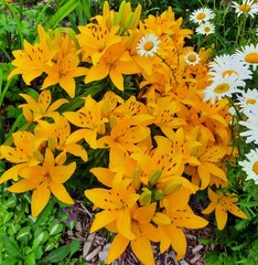 bouquet of yellow flowers
