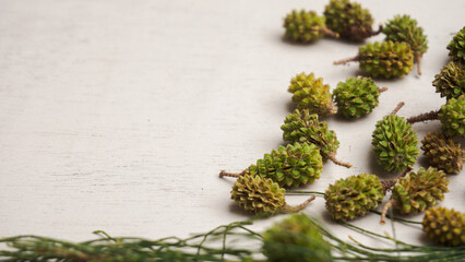 Green pine cones on a wooden table