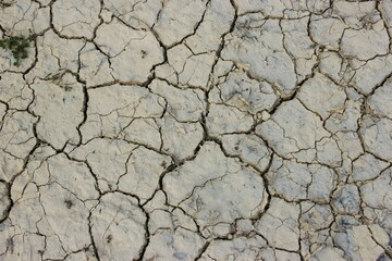 cracked on dehydrated ground