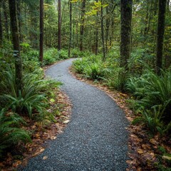 Fototapeta premium a winding gravel path in a forest with ferns