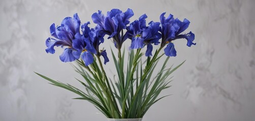 Simple and elegant bouquet of Siberian blue irises with bare branches, rustic charm, wildflowers in vase, seasonal bouquet © Prapasarabhron