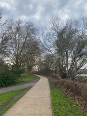 A pathway through a forest in autumn, with fallen leaves covering the ground and colorful foliage lining the way, creating a peaceful, scenic atmosphere