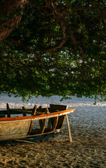 Obraz premium Tropical Boat