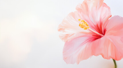 watercolor, Close-up of a pink hibiscus flower on a soft light background, delicate petals and vibrant details.