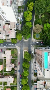 Cruce de avenidas llena de arboles y naturaleza transitada por peatones y trafico de carros particulares rodeado de algunos edificios 