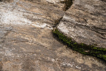 Weathered Rock Surface with Moss and Natural Textures