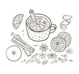 Set of mulled wine, fruit and spices hand drawn illustrations. Simple design in sketch style
