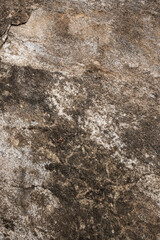 Naklejka premium Close-Up of Rock Surface with Unique Textures and Earthy Tones
