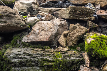 Pile of Moss-Covered Rocks with Natural Green and Earth Tones
