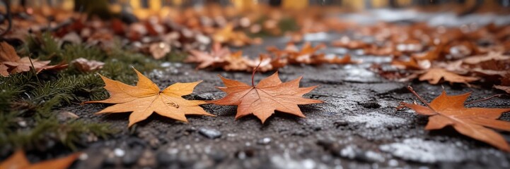 First snowflakes gently falling on fallen leaves, snowfall, leaf fall