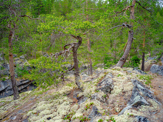 Heggjebottvatnet Norwegen   
