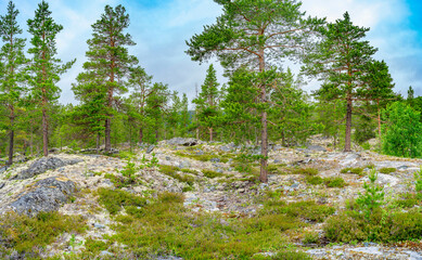 Obraz premium Heggjebottvatnet in Norwegen