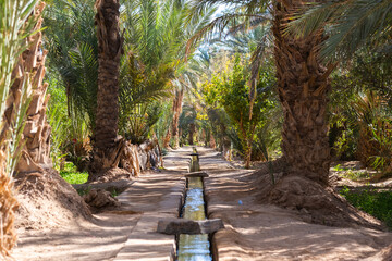 Traditional irrigation system in the Hassi Labied Oasis, a few kilometers from Merzouga, in...
