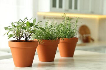 Different aromatic herbs in pots on white marble table in kitchen
