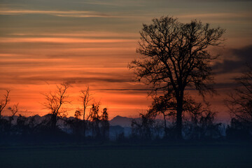 Tramonto in campagna nei  dintorni di Tortona - Alessandria - Piemonte - Italia