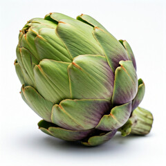 artichoke, fresh artichoke, artichoke isolated on white background, artichoke isolated on white