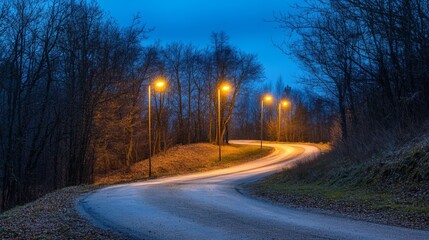 Serene Curved Road with Street Lights in Dense Forest at Dusk