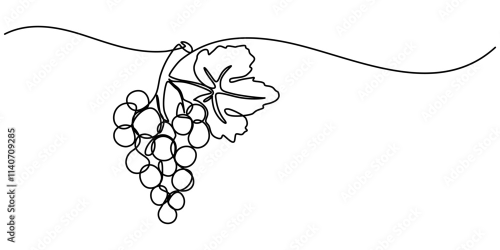 Poster Continuous Line Drawing Of Grapes On A Transparent background, One line drawing grape fruits. Single outline organic nature food, Grape drawn in one continuous line. One line drawing, minimalism. 
