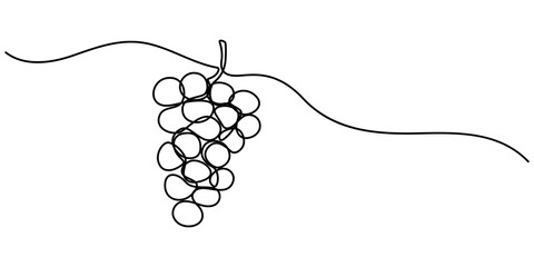 Continuous Line Drawing Of Grapes On A Transparent background, One line drawing grape fruits. Single outline organic nature food, Grape drawn in one continuous line. One line drawing, minimalism.  © line drawing