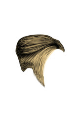 Cool short blonde hair with transparent background 