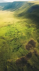 Dramatic drone view capturing the expansive plains and wildlife of Ngorongoro Crater during a vibrant sunny day