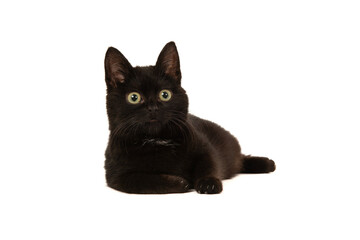 Cute black kitten lying down on a white background looking away form the camera