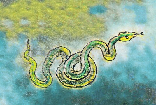 snake coiled on the ground