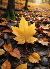 A golden leaf lies alone on the forest floor amidst fallen leaves, , single golden leaf, woodland