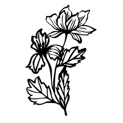 bouquet with elegant hand drawn botanical line art with flowers and leaves for crafting, invitations, coloring books, tattoos, and minimalist decor. vector illustration for creative projects