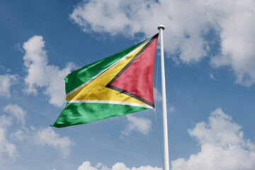 Guyana Flag 