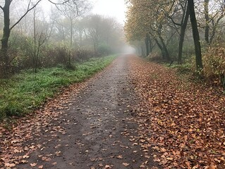Obraz premium A misty pathway lined with fallen leaves in an autumn landscape.