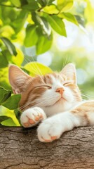 Fototapeta premium A peaceful cat sleeping on a branch surrounded by green leaves.